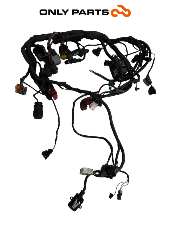 CABLAGGIO ELETTRICO IMPIANTO PRINCIPALE BMW F 650 CS 2001 / MAIN WIRING HARNESS — 3