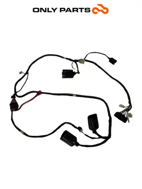 Cablaggio elettrico principale