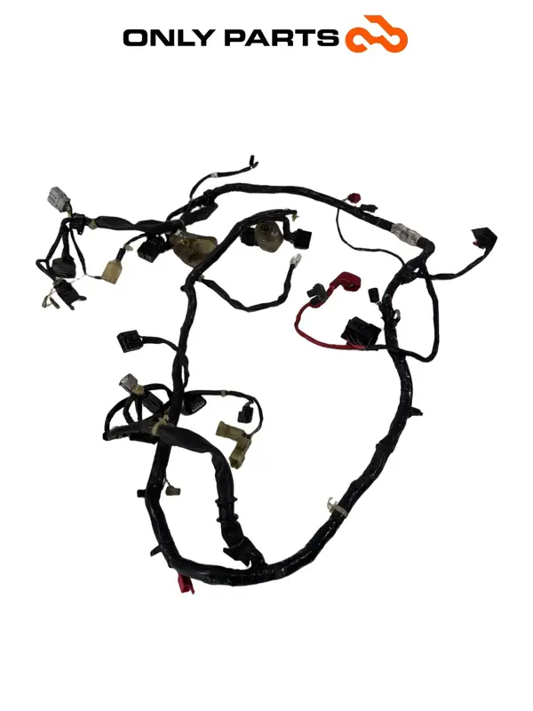 CABLAGGIO ELETTRICO IMPIANTO PRINCIPALE HONDA SH 300 I 2008 MAIN WIRING HARNESS — 2