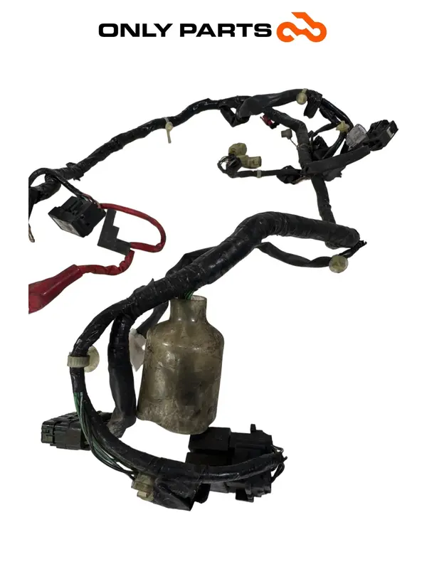CABLAGGIO ELETTRICO IMPIANTO PRINCIPALE HONDA SH 300 I 2008 MAIN WIRING HARNESS — 5