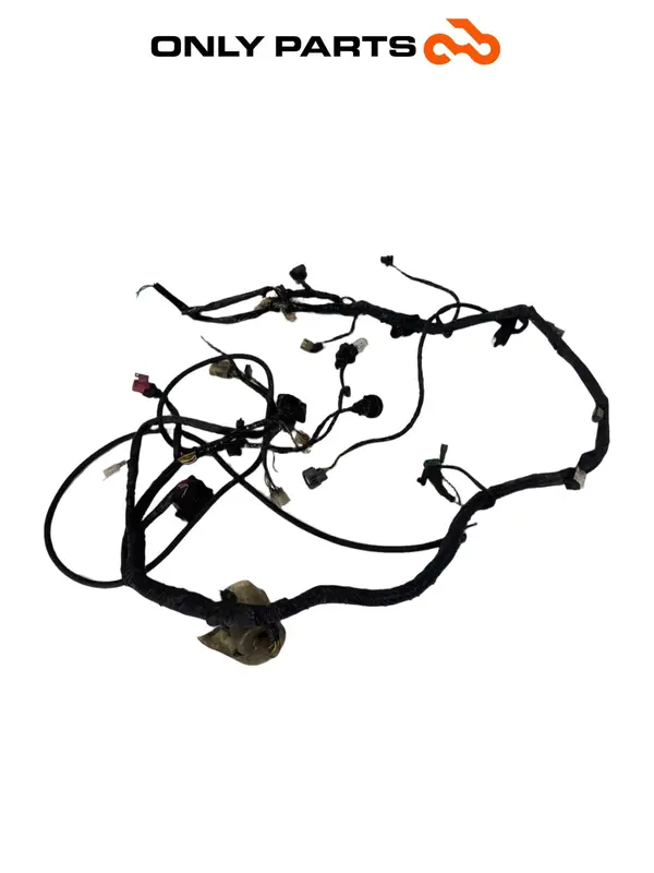 CABLAGGIO ELETTRICO IMPIANTO PRINCIPALE HONDA VTR 1000 F 1999 / MAIN WIRING LOOM