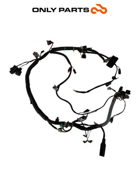 Cablaggio elettrico principale