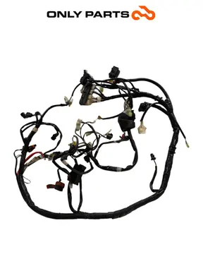 Cablaggio elettrico principale Kymco People S 300cc 2021 Grigio usato — foto reale 2