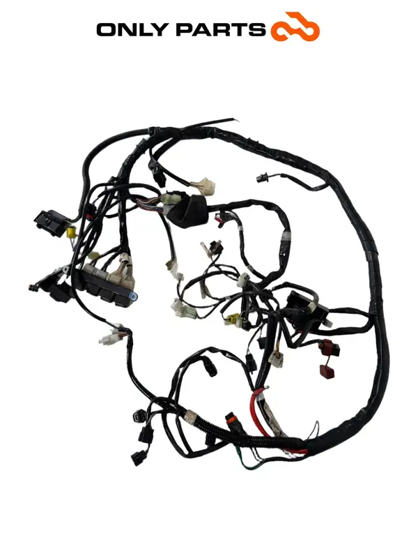 IMPIANTO ELETTRICO CABLAGGIO PRINCIPALE KYMCO PEOPLE S 300CC 2021 WIRING HARNESS — 4