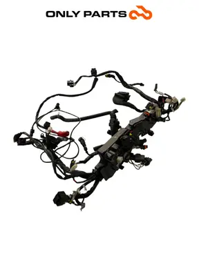 Cablaggio elettrico principale