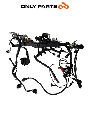 Cablaggio elettrico principale Moto Guzzi V7 III Special 750cc 2019 Azzurro usato — foto reale 2