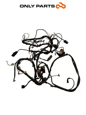 Cablaggio elettrico principale Piaggio X9 evolution  250cc usato — foto reale 3