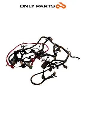 Cablaggio elettrico principale Quadro 350 S 2013 Nero usato — foto reale 3