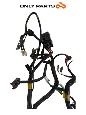 Cablaggio elettrico principale Quadro 350 S 2013 Nero usato — foto reale 6