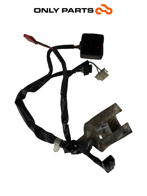 CABLAGGIO ELETTRICO STRUMENTAZIONE FARO HONDA SH 300 I 2008 / DASHBOARD WIRING