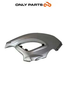 Carena anteriore SX BMW F 650 CS 2001 Grigio usato — foto reale 1