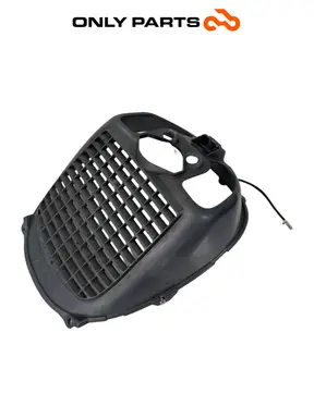 Carena Copri radiatore Piaggio X9 evolution  250cc usato — foto reale 1