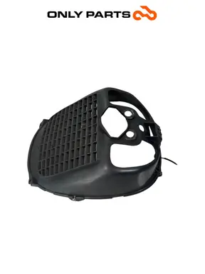 Carena Copri radiatore Piaggio X9 evolution  250cc usato — foto reale 3