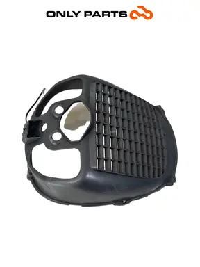 Carena Copri radiatore Piaggio X9 evolution  250cc usato — foto reale 5
