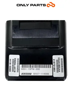 Centralina ECU Kymco People S 300cc 2021 Grigio usato — foto reale 9