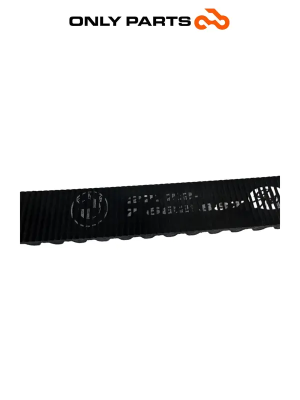 CINGHIA TRASMISSIONE FINALE DENTATA ORIGINALE BMW F 650 CS 2001 / DRIVE BELT OEM — 4