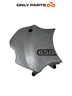 Copri pignone BMW F 650 CS 2001 Grigio usato — foto reale 1