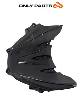 Cupolino anteriore Piaggio X9 evolution  250cc 2005 usato — foto reale 7
