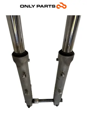 Forcella anteriore completa BMW F 650 CS 2001 Grigio usato — foto reale 11