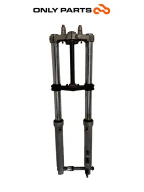 Forcella anteriore completa BMW F 650 CS 2001 Grigio usato — foto reale 2
