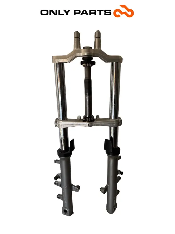 FORCELLA ANTERIORE COMPLETA STELI SUZUKI BURGMAN 650 CC 2010 / FRONT FORK LEGS — 2