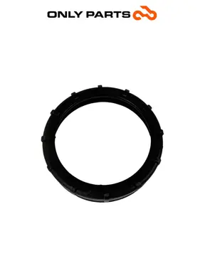 Ghiera supporto pompa benzina BMW F 650 CS 2001 Grigio usato — foto reale 2