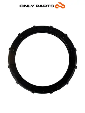 Ghiera supporto pompa benzina BMW F 650 CS 2001 Grigio usato — foto reale 5