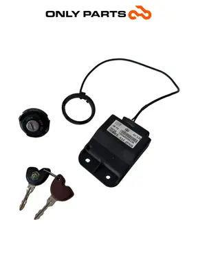 Kit chiavi completo Piaggio X9 evolution  250cc 2005 usato — foto reale 2