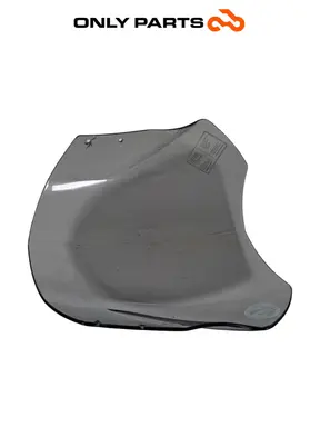 Parabrezza BMW F 650 CS 2001 Grigio usato — foto reale 8