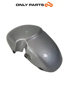 Parafango anteriore Piaggio X9 evolution  250cc 2005 usato — foto reale 2