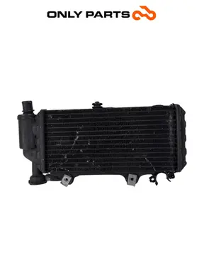 Radiatore acqua + ventola BMW F 650 CS 2001 Grigio usato — foto reale 1