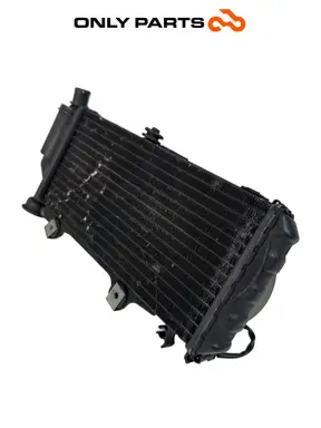 Radiatore acqua + ventola BMW F 650 CS 2001 Grigio usato — foto reale 7
