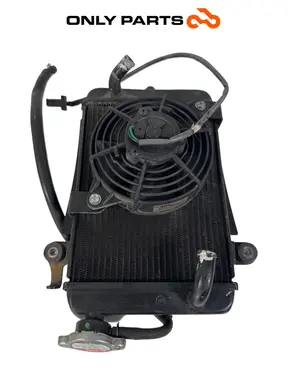 Radiatore acqua + ventola Honda SH 300i 2008 Grigio usato — foto reale 10