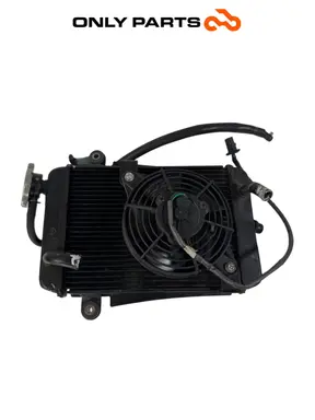 Radiatore acqua + ventola Honda SH 300i 2008 Grigio usato — foto reale 2
