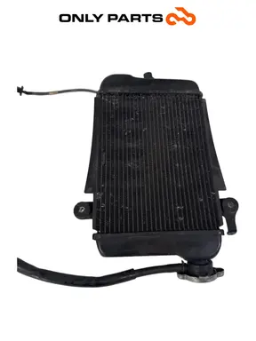 Radiatore acqua + ventola Honda SH 300i 2008 Grigio usato — foto reale 7
