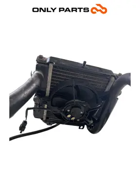 Radiatore acqua + ventola Kymco People S 300cc 2021 Grigio usato — foto reale 5