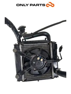 Radiatore acqua + ventola Kymco People S 300cc 2021 Grigio usato — foto reale 9