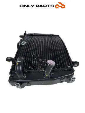 Radiatore di raffreddamento Aprilia RS 457cc 2024 usato — foto reale 4