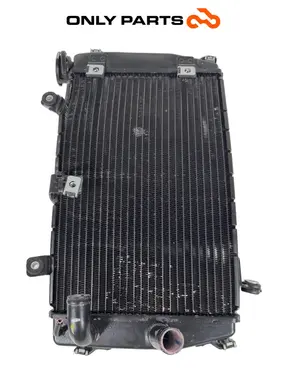 Radiatore di raffreddamento Aprilia RS 457cc 2024 usato — foto reale 5