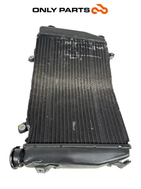 Radiatore di raffreddamento Aprilia RS 457cc 2024 usato — foto reale 6
