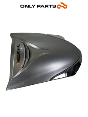 Scudo anteriore superiore Honda SH 300i 2008 Grigio usato — foto reale 3
