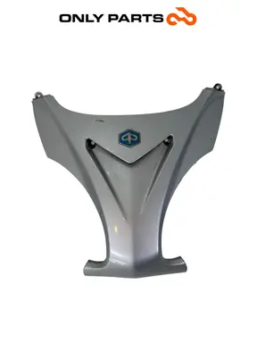 Scudo anteriore / Y Piaggio X9 evolution  250cc 2005 usato — foto reale 2